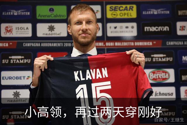 小高领，再过两天穿刚好
