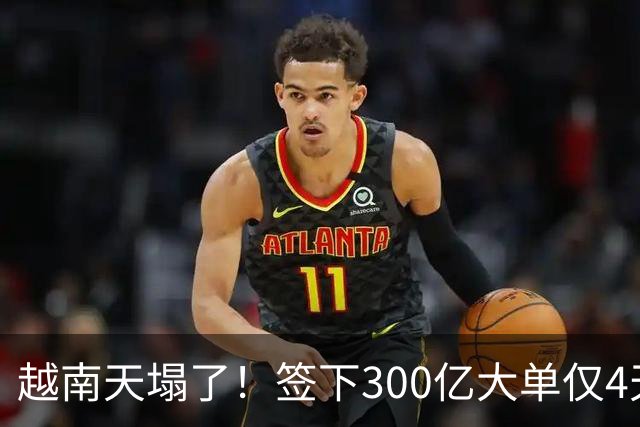 越南天塌了！签下300亿大单仅4天，中国新出一项公告，项目或流产